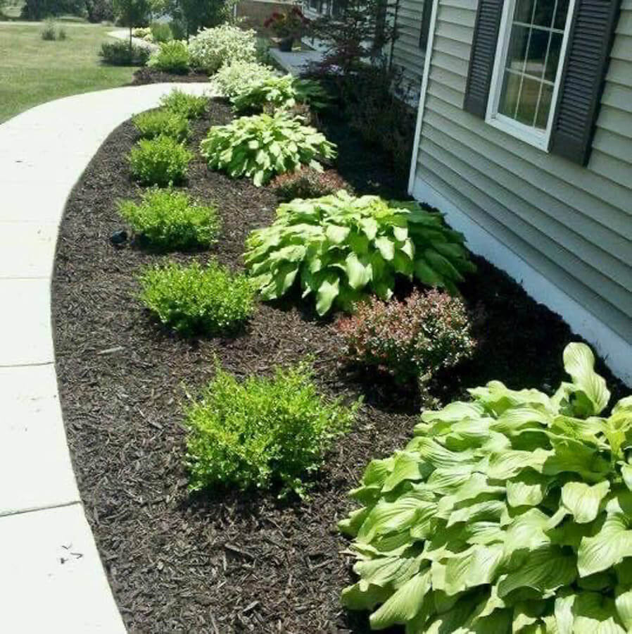 Freshly planted garden